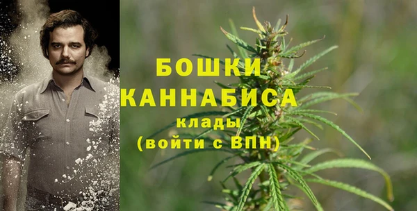бутират Инта