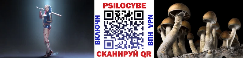 shop формула  Лихославль  Галлюциногенные грибы прущие грибы 
